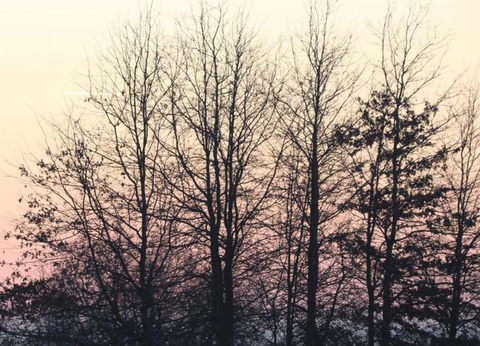 Damona Lodges, 3* - 17