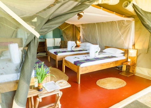 Safari Privatif - En Terre Sauvage - 25