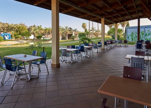 Hôtel Club Coralia Palm Oasis Alvor 4* - 17