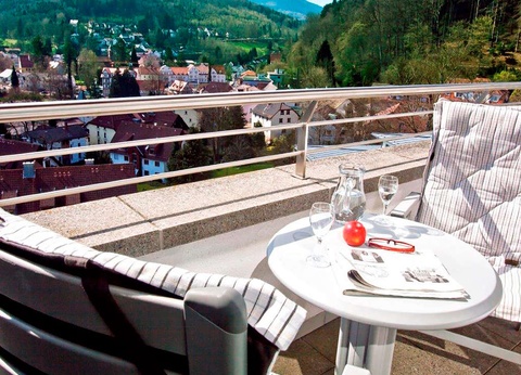 Plaisir pur dans la Forêt-Noire avec dîner et spa - 4* - 23