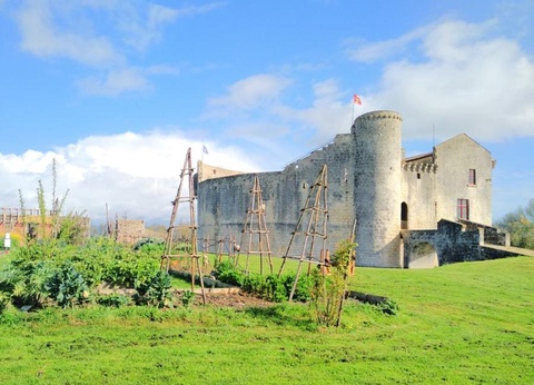 Flower Camping L'Abri-Côtier, 3* - 154