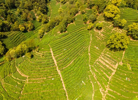 Circuit Essentiels de Chine ancestrale et moderne en privatif *** - 22