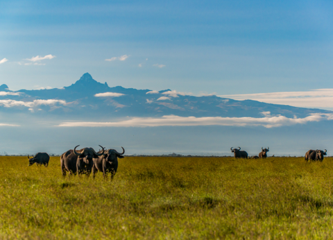 Circuit Safaris de Légende - 17