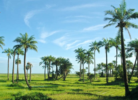 Circuit Sud Sénégal - 3