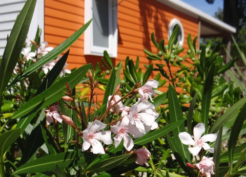 Camping Le Bois Verdon, 4* - 36