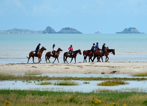 Camping La Touesse 4* - 48