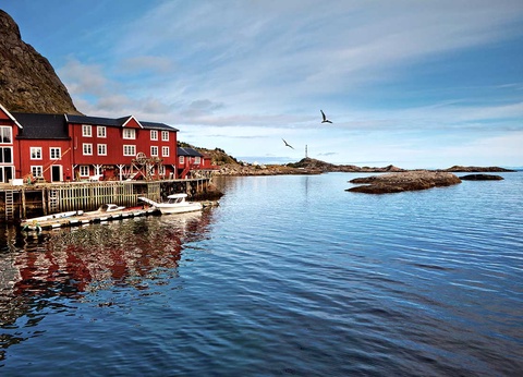 Circuit Îles Lofoten, fjords et baleines - 10