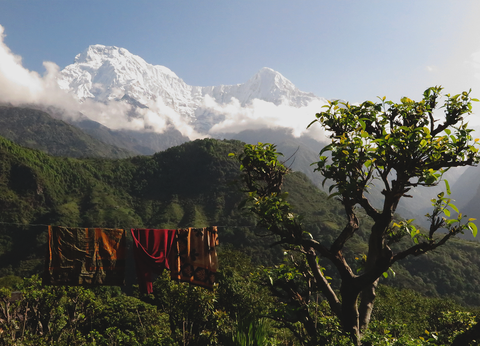 Circuit Trek dans l'Himalaya et réserve de Bardia - 4