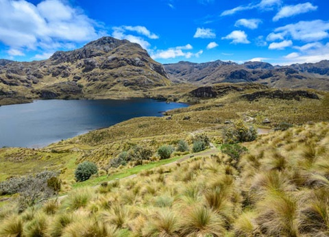 Circuit L'Équateur entre nature et authenticité + extension Galapagos (maximum 16 participants) - 9