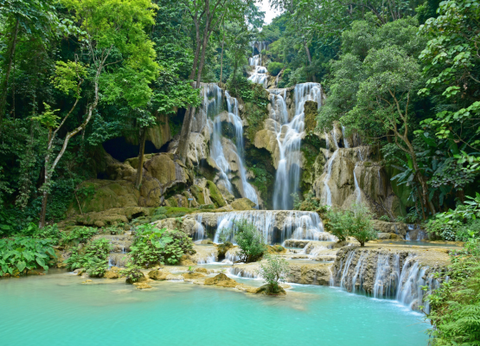 Circuit Lotus du Laos - 13