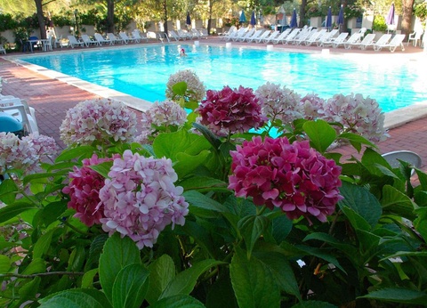 Camping Punta Navaccia, 3* - 2