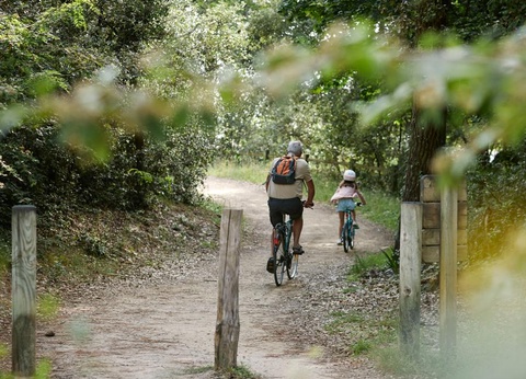 Camping L'Albizia, 4* - 33