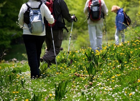 Camping L'Abri des Pins, 4* - 226