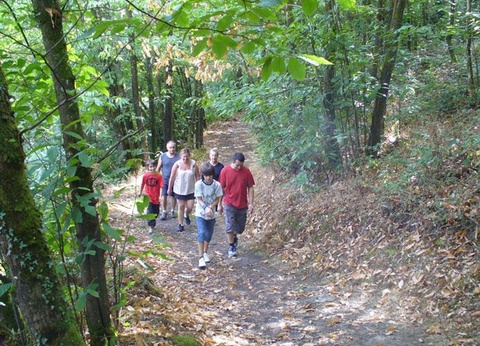 Camping Le Rouge Gorge 4* - 30