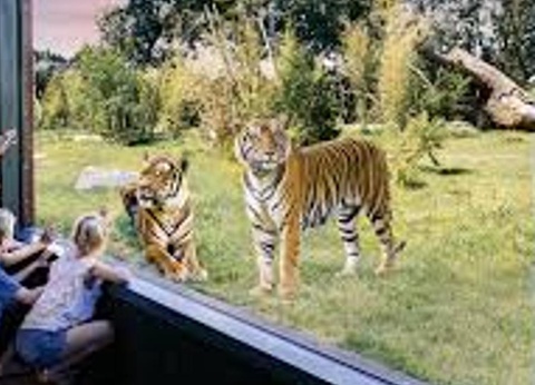 Camping L'Abri des Pins, 4* - 235