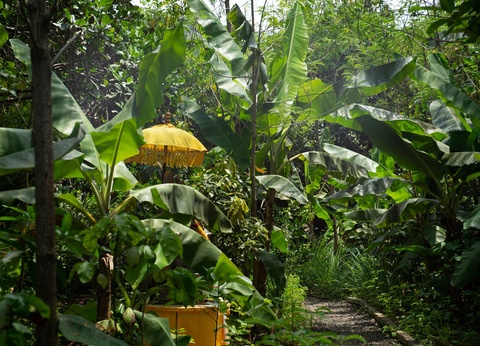Circuit Sur la route des îles : Ubud, Candidasa et Lombok - 4