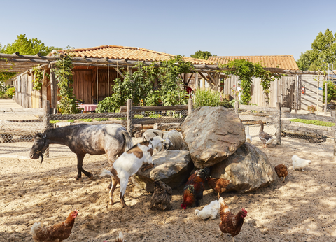 Camping Paradis La Grand'Métairie 4* - 8