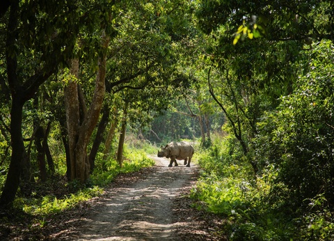 Circuit Terres de paix : voyage au rythme du Népal **** - 7