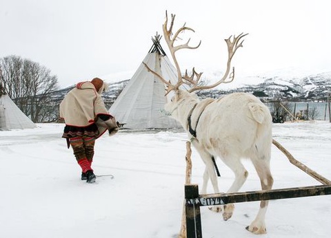 Circuit Splendeurs de la Laponie Finlandaise 08J/07N - 2025 - 4