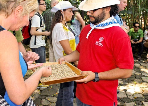 Circuit Merveilles du Costa Rica du Nord au Sud - 10