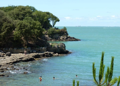 Flower Camping L'Abri-Côtier, 3* - 181