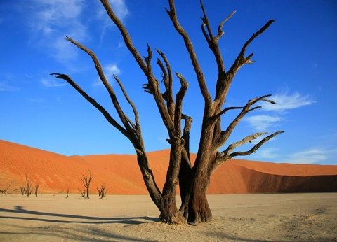 Circuit Couleurs de Namibie - 6