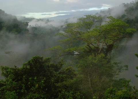 Road Trip Nature & Farniente au Costa Rica - 4