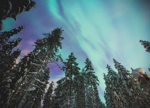 Séjour Finlande - Hôtel Club Coralia Laponie Ivalo 4* - Ivalo