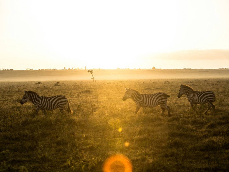 Circuit L'âme sauvage : voyage entre Kenya et Tanzanie - 1