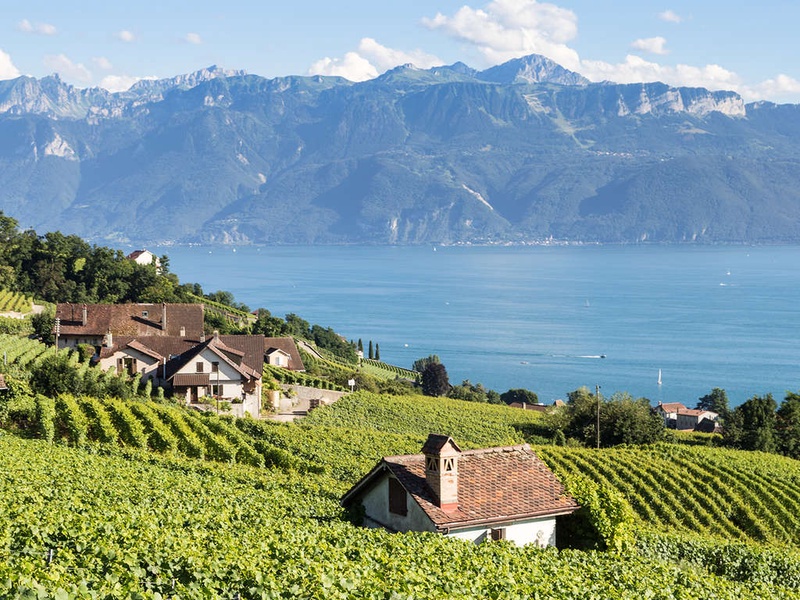 Venez faire le plein d'air frais à côté de Genève ! - 4* - 1