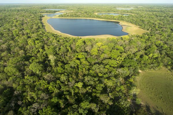 Merveilles du Brésil & Extension Pantanal 18J/15N - 2024 - 1