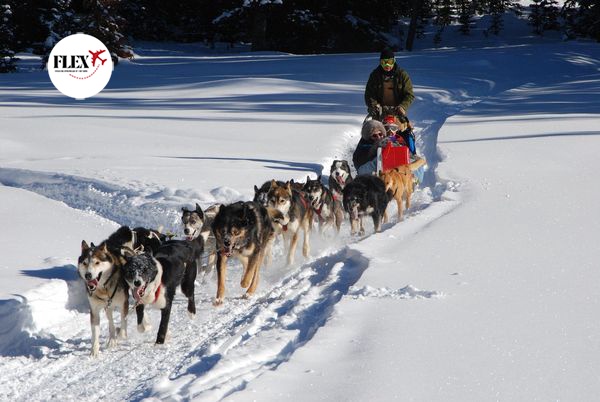 Splendeurs du Québec en hiver 8J/6N - 1