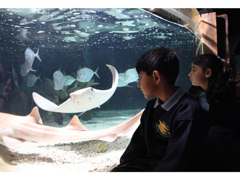 Week-end en famille avec entrée à l'aquarium Sea Life jusqu'à 4 personnes - 4* - 1
