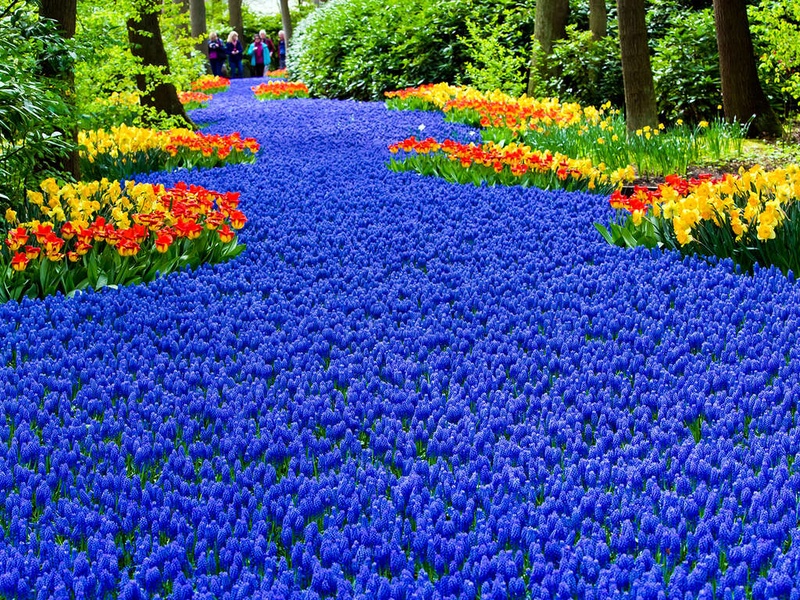 Séjourner dans le centre d'Amsterdam et visiter Keukenhof - 4* - 1
