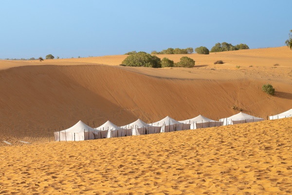 Circuit Les Oasis du Sénégal en privatif *** - 1