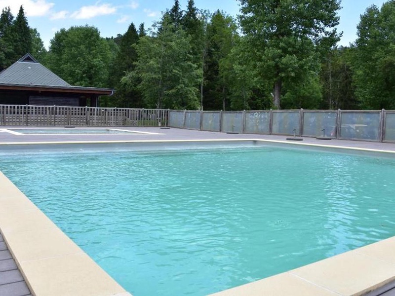 Camping Domaine du Lac Chambon 3* - 1