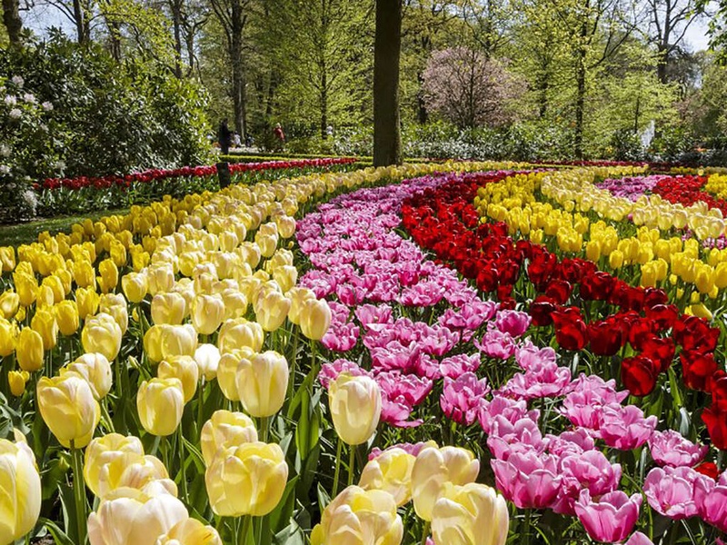 Séjournez dans le luxueux hôtel Van der Valk Schiphol et découvrez le Keukenhof - 4* - 1