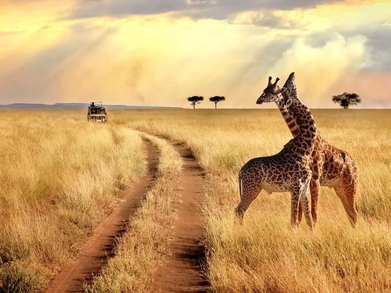 Circuit Découvertes Kenyanes et séjour hôtel Leopard Beach Resort 4* - 1