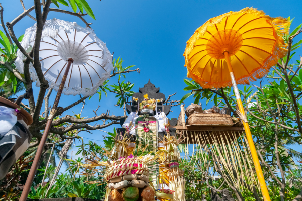 Combiné Bali, Jungle et Sable de Bali - 1