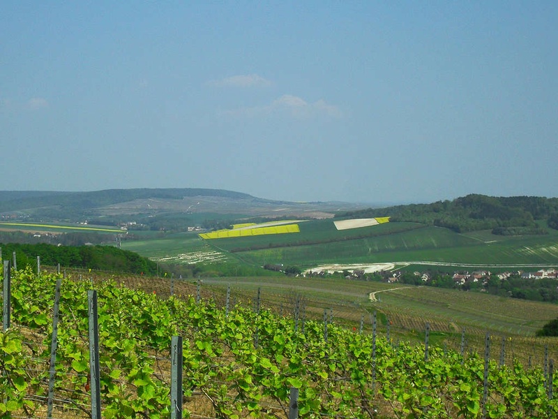 Calme au grand air à deux pas de Reims - 1