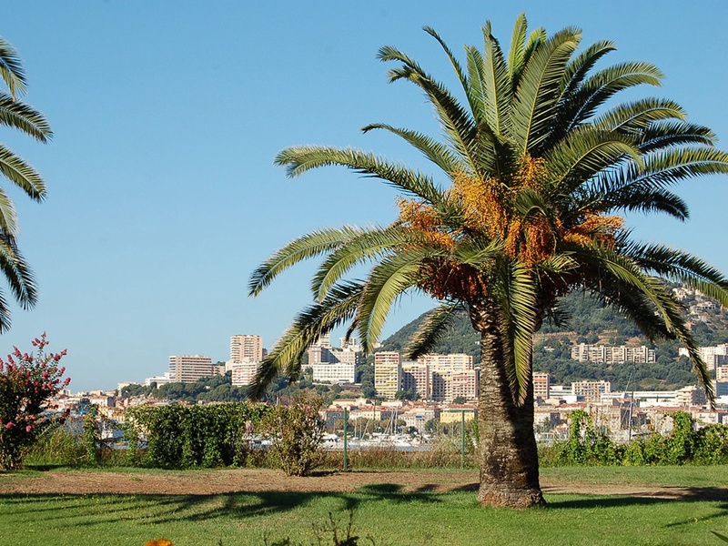 Dolce Corsica en demi-pension avec vols vacances - 1