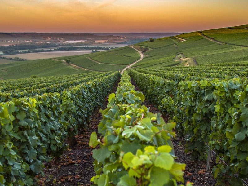 Séjour avec petit-déjeuner, et visite de cave de Champagne - 4* - 1