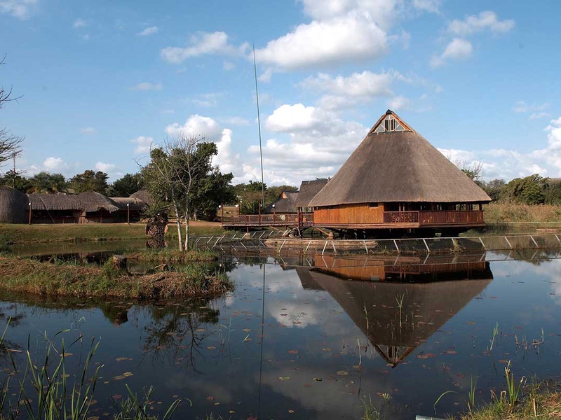 Circuit Afrique Du Sud Circuit Canyons Et Safaris Johannesbourg