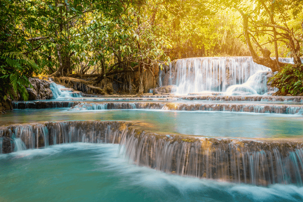 De Luang Prabang au Lotus du Cambodge - 1