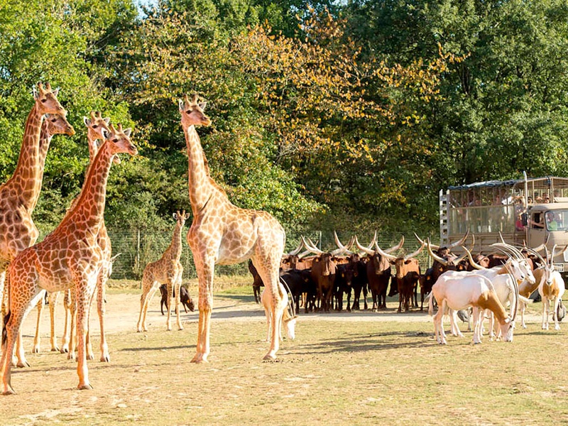 Weekend en studio avec entrées au parc animalier Planète Sauvage - 3* - 1