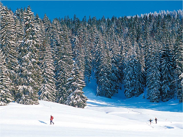 VVF Jura Lac de Vouglans 3* - 1