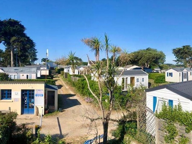 Camping Le Bois d'Amour - 1