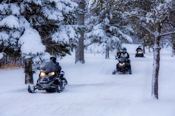 Splendeurs de l'Hiver Canadien 9J/7N - 2025/2026 - 1