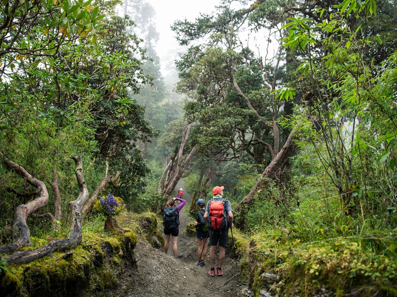 Circuit Trek dans l'Himalaya et réserve de Bardia - 1