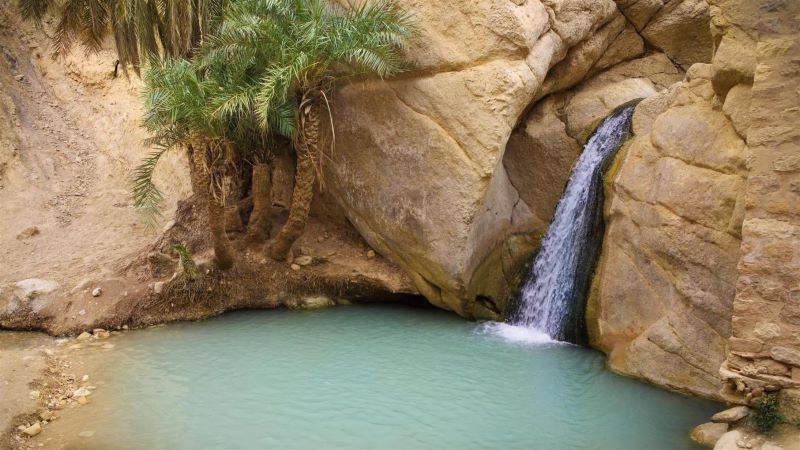 Circuit la balade Tunisienne & Extension Club Coralia One Resort Aqua & SPA 4* - 1